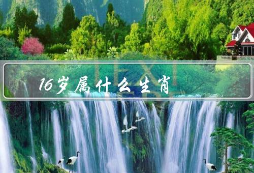 16岁属什么生肖（聪明才智／活泼好动／机智和幽默）