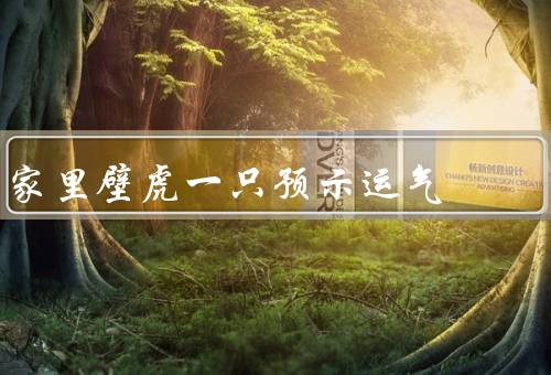 家里壁虎一只预示运气（出现／寓意／与相处）