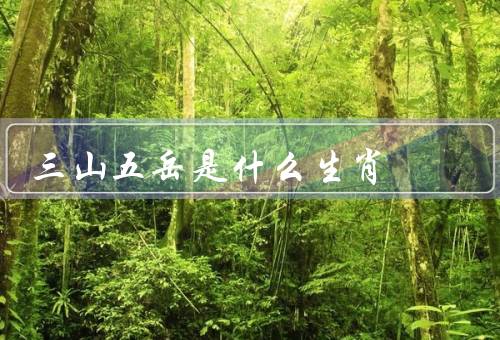 三山五岳是什么生肖，象征意义／结语