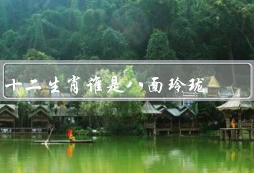 十二生肖谁是八面玲珑，聪明才智／口才和表演天赋