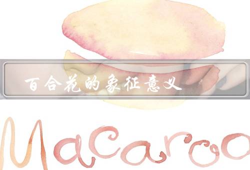 百合花的象征意义，纯洁高贵／爱情与守护／祝福和吉祥