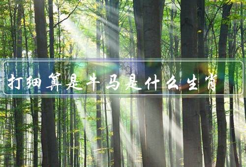 精打细算是牛马是什么生肖，财务管理能手、注重细节