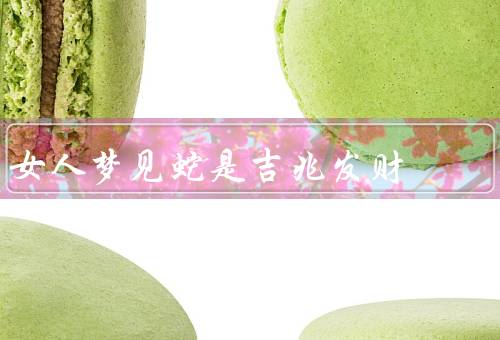 女人梦见蛇是吉兆发财，蜕皮／盘绕／吞食
