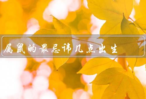 属鼠的最忌讳几点出生（贪图小利／不守信用／缺乏毅力）