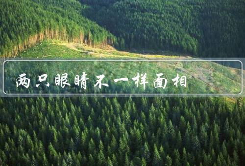 两只眼睛不一样面相，蓝色眼睛、绿色眼睛、独特之处