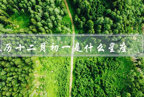 农历十二月初一是什么星座，特点／优点和缺点／配对