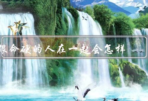 跟命硬的人在一起会怎样，沟通困难／冲突频发／挑战与机遇