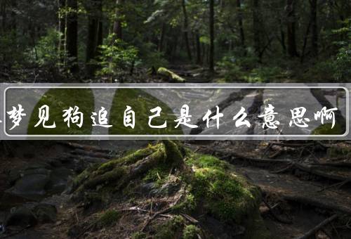 男人梦见狗追自己是什么意思啊（梦境的背景／内心的焦虑）