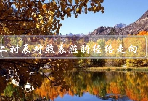 十二时辰对照表脏腑经络走向（夜半子时、鸡鸣丑时、日出寅时）