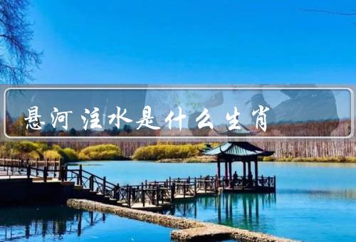 悬河注水是什么生肖，由来／过程／意义