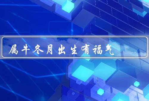属牛冬月出生有福气，辛勤努力，事业有成／财富滚滚而来