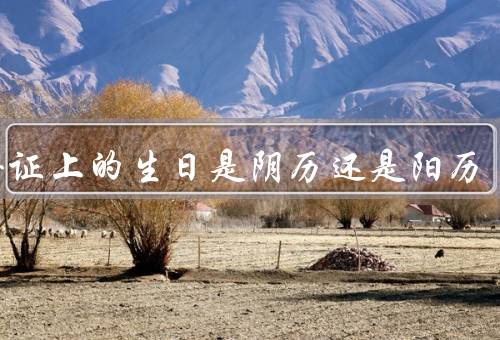 身份证上的生日是阴历还是阳历（阳历和阴历的区别）
