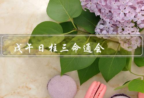 戊午日柱三命通会，特点／命运特点／事业发展