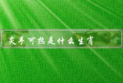 炙手可热是什么生肖，生肖／原因／结语
