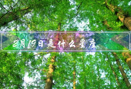 2月19日是什么星座，特点、爱情观、职业选择