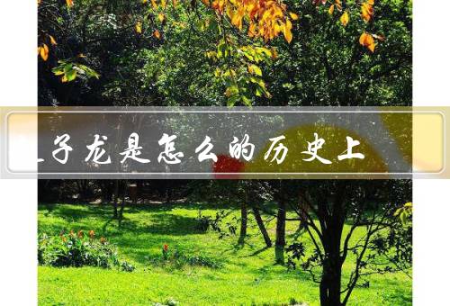 赵子龙是怎么死的历史上（英勇事迹／之一／之二）