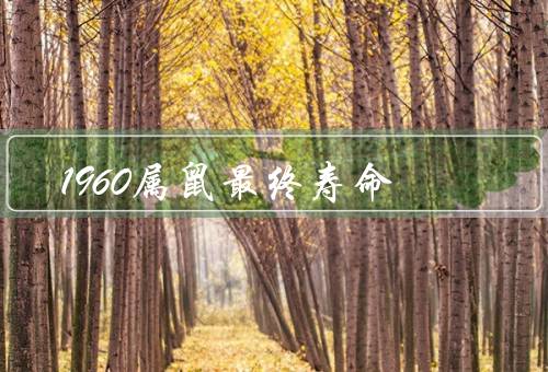 1960属鼠最终寿命，寿命普遍较长／心态平和／积极向上