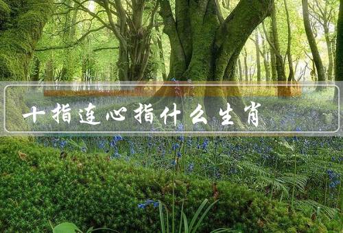 十指连心指什么生肖，十指纤细柔软／强大的观察力和思维能力