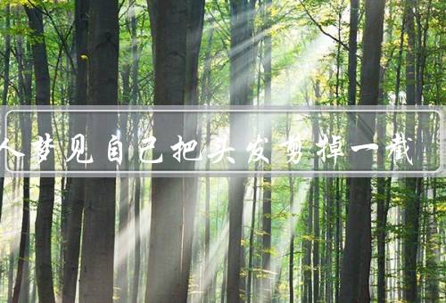 女人梦见自己把头发剪掉一截，新形象、生活变动、内心的改变