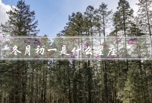 冬月初一是什么星座（特点、冬月初一的特点、与冬月初一的契合）
