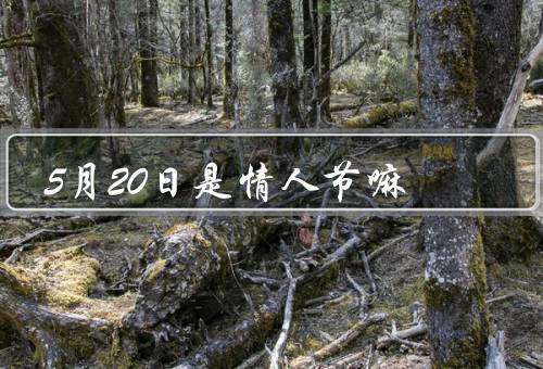 5月20日是情人节嘛（5月20日的由来、不同地区的情人节）