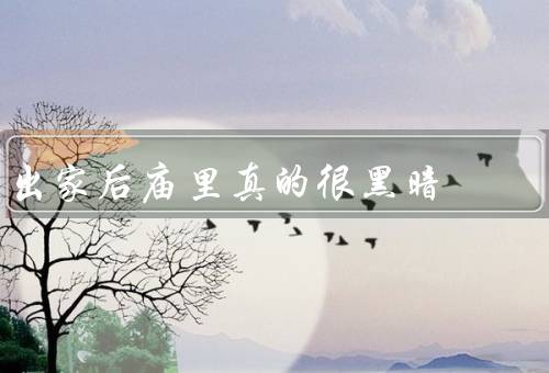 出家后庙里真的很黑暗，庙宇的黑暗／僧侣的心灵／自我探寻的旅程