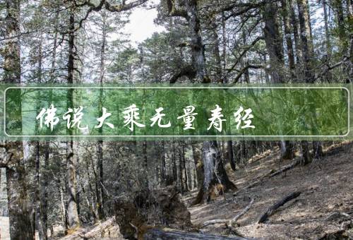 佛说大乘无量寿经，由来、主要内容、修行方法
