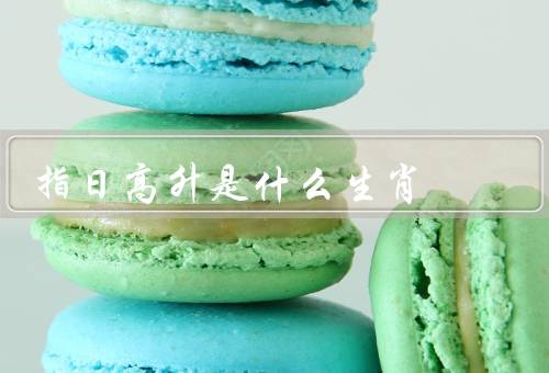 指日高升是什么生肖（特点／事业和财运／爱情和家庭）