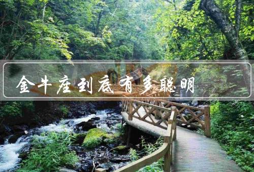 金牛座到底有多聪明，智慧、学习能力、创造力