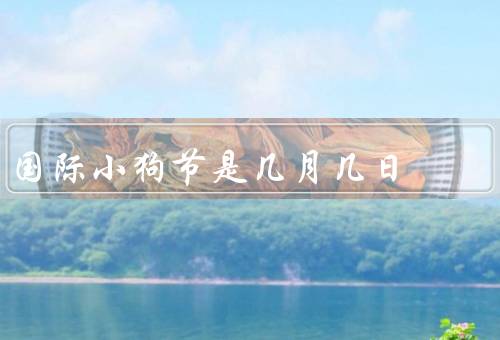 国际小狗节是几月几日，重要性、健康、庆祝国际节