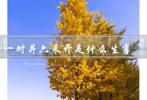 一一对并六来开是什么生肖（一一对并六来开生肖、特点、命运）