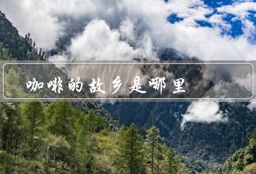 咖啡的故乡是哪里（文化、品种、产业）