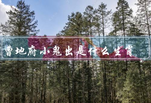 阴曹地府小鬼出是什么生肖，生肖／职责／形象