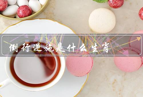 倒行逆施是什么生肖，特点／蛇的／生肖的优势