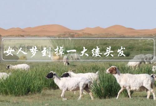 女人梦到掉一大缕头发（现实生活中的压力／对外貌的焦虑）