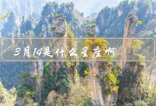 3月14是什么星座啊，星座特点／爱情观／事业发展