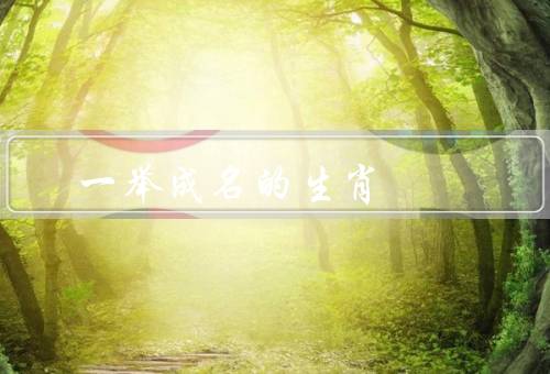 一举成名的最佳生肖，机智过人／勇往直前／善于合作