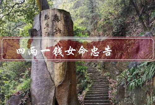 四两一钱女命忠告，事业上的忠告／财运上的忠告／人际关系上的忠告