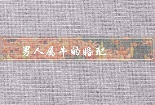 男人属牛的最佳婚配，个性稳重／勤奋努力／家庭观念强