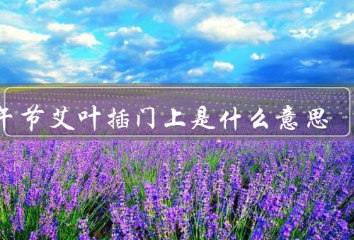 端午节艾叶插门上是什么意思，来历／意义／传承