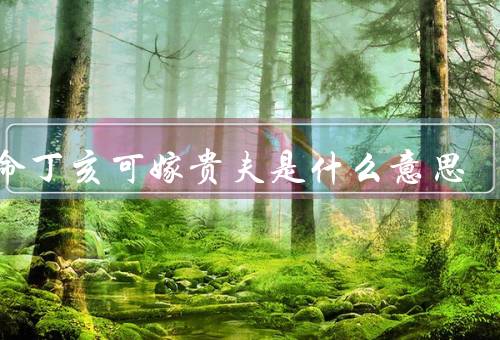 女命丁亥可嫁贵夫是什么意思，女性命运特点／女性嫁贵夫的意义