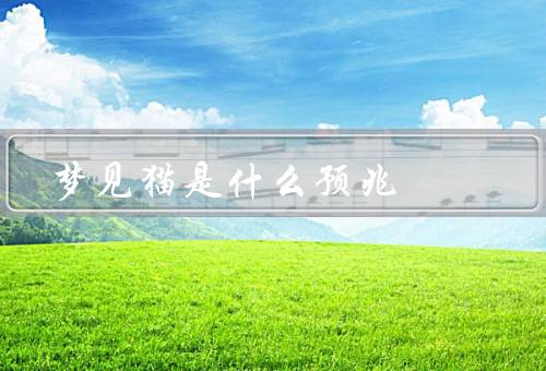 梦见猫是什么预兆，神秘象征／灵性和敏锐／独立和自由