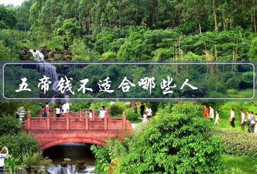 五帝钱不适合哪些人（收藏投资者／普通／经济学者）