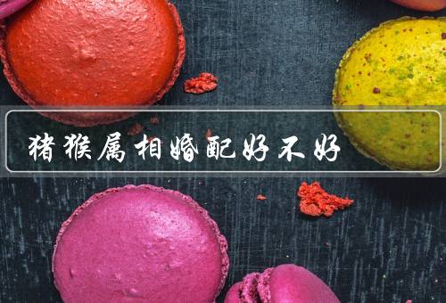 猪猴属相婚配好不好（相互补足／性格冲突／共同成长）