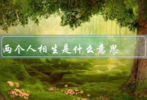 两个人相生是什么意思，互动、合作、共同成长