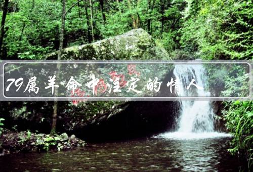 79属羊命中注定的情人（内心强大的情人、温暖体贴的情人）