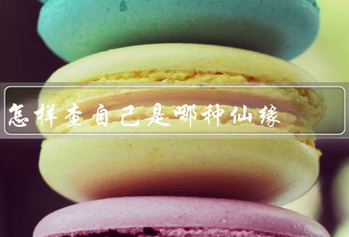 怎样查自己是哪种仙缘，查找自己的灵性、探索自己的兴趣爱好