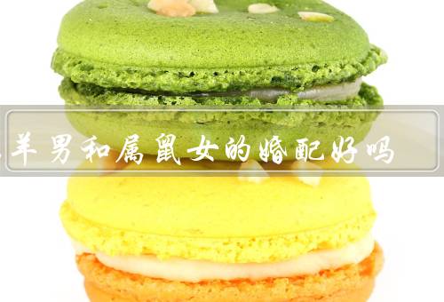 属羊男和属鼠女的婚配好吗，个性互补、共同价值观、相互支持