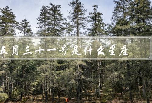 五月三十一号是什么星座，特点／爱情观／职业发展