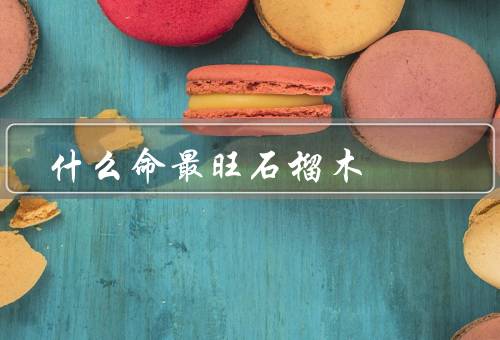 什么命最旺石榴木，特点／用途／保养
